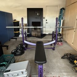 Cybex Crunch Fitness Bench Press