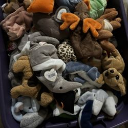 Beanie Babies 