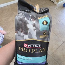 Puppy Food PURINA