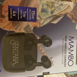 Earbuds With Charger   New