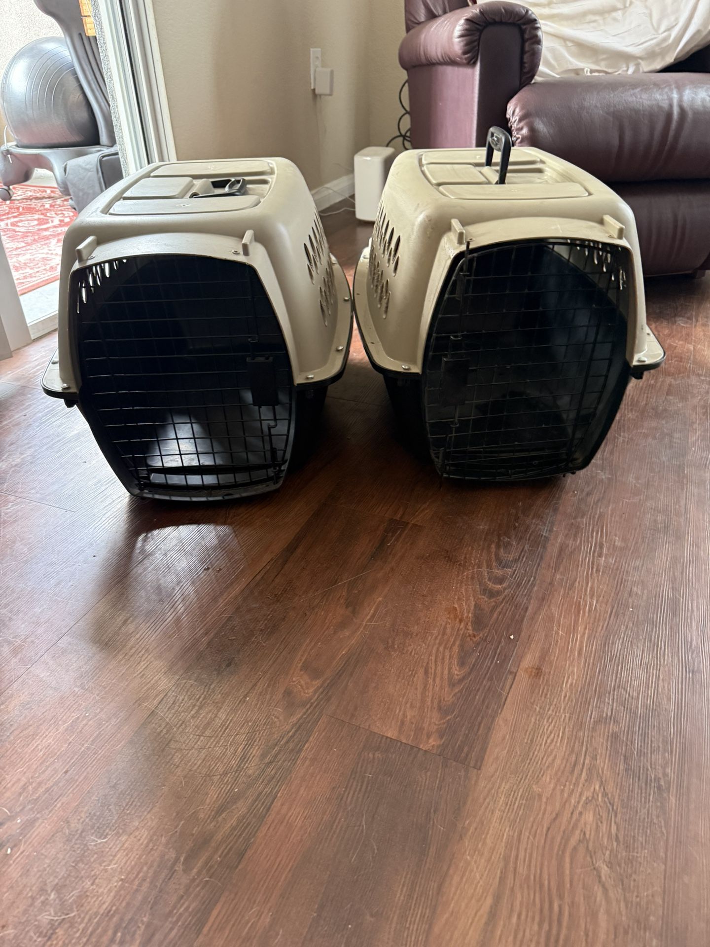 Dog Crates