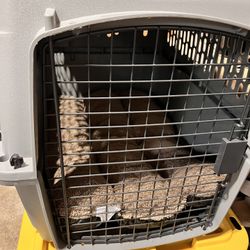 Medium size crate