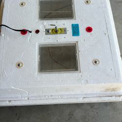 egg incubator 