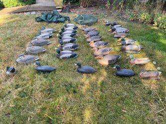 Duck Decoys