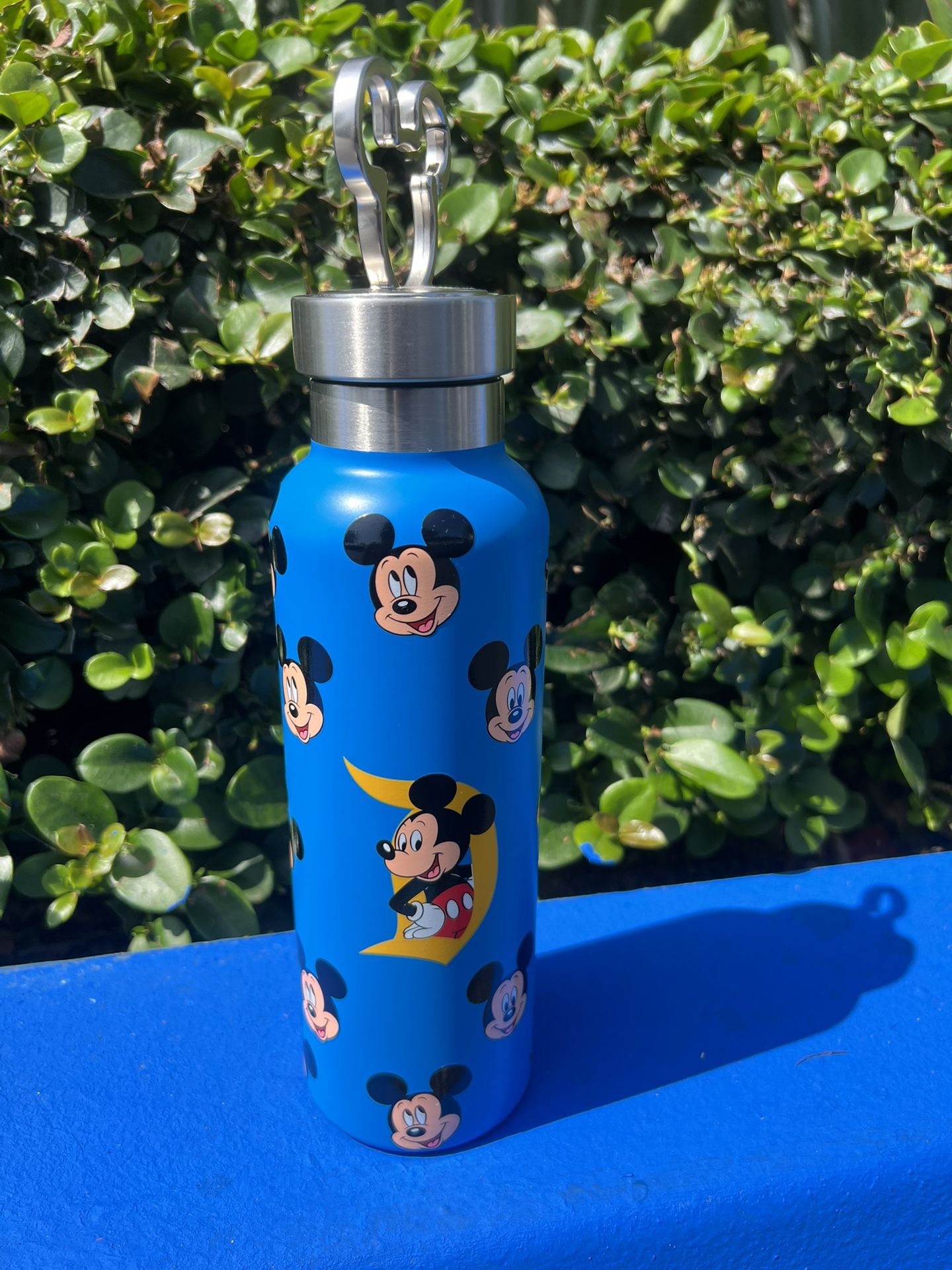 Disney Water Bottle