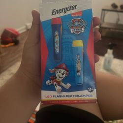 Paw Patrol Flashlights