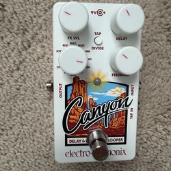EHX Canyon delay pedal