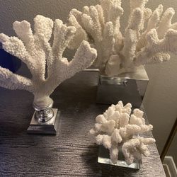 3 Piece Coral Decor Set 