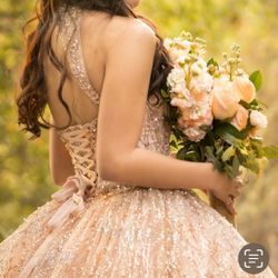 Quince Dress 