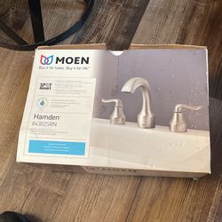 Moen Faucet