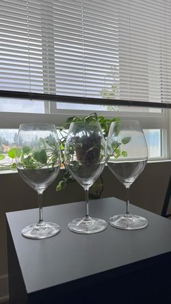 Riedel Wine Glasses (3)