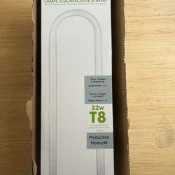 U-Bend Lamp