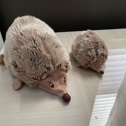 Porcupine Soft Toys