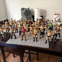 WWE Action Figures 