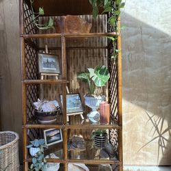 Vintage Rattan Bamboo Bentwood Glass Dark Brown 5 Tier Plant Stand Book Case Shelf Boho MCM Woven 