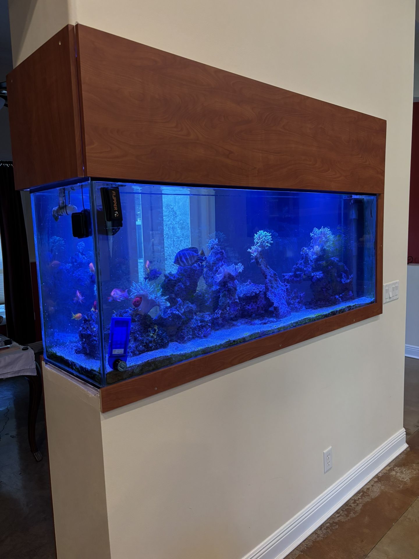 Reptile Aqurium Tank Enclosure