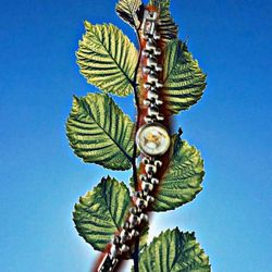 Vintage Mikey Mouse Women’s Watch