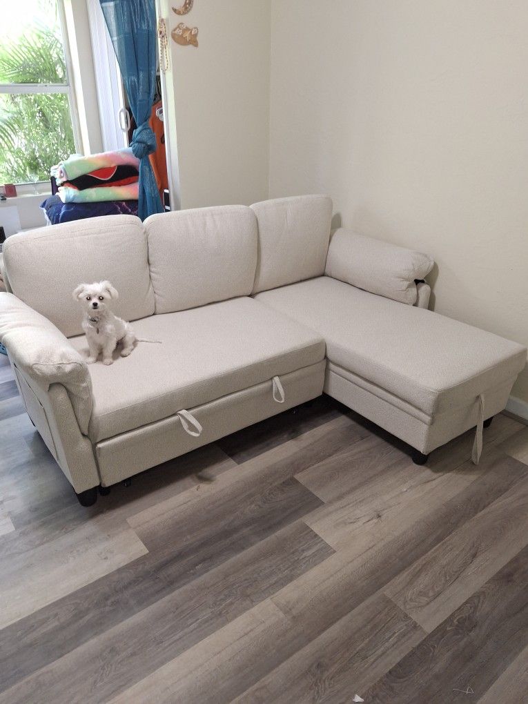 Sleeper Sofa Still In BOX