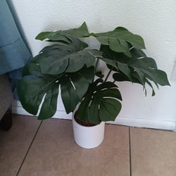 Artificial Plant 🪴 