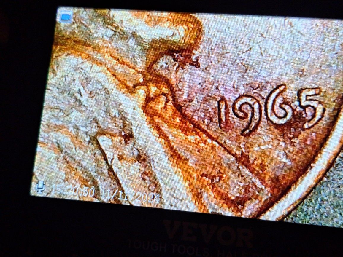 1965 No Mintmark Brn Errors