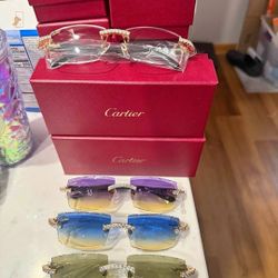 Sunglasses 