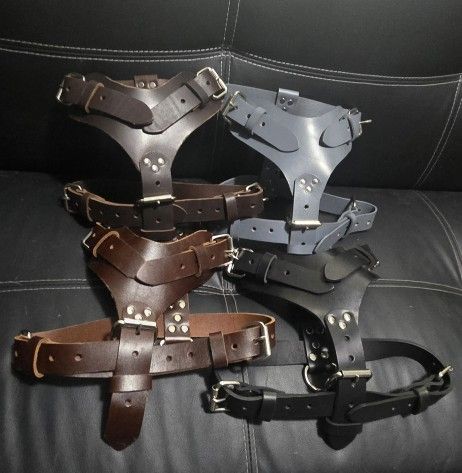 Dog Harness