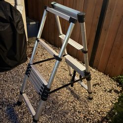 Telescopic Ladder