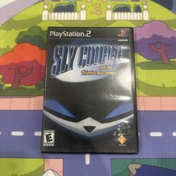 Sly cooper and the thievius raccoonus