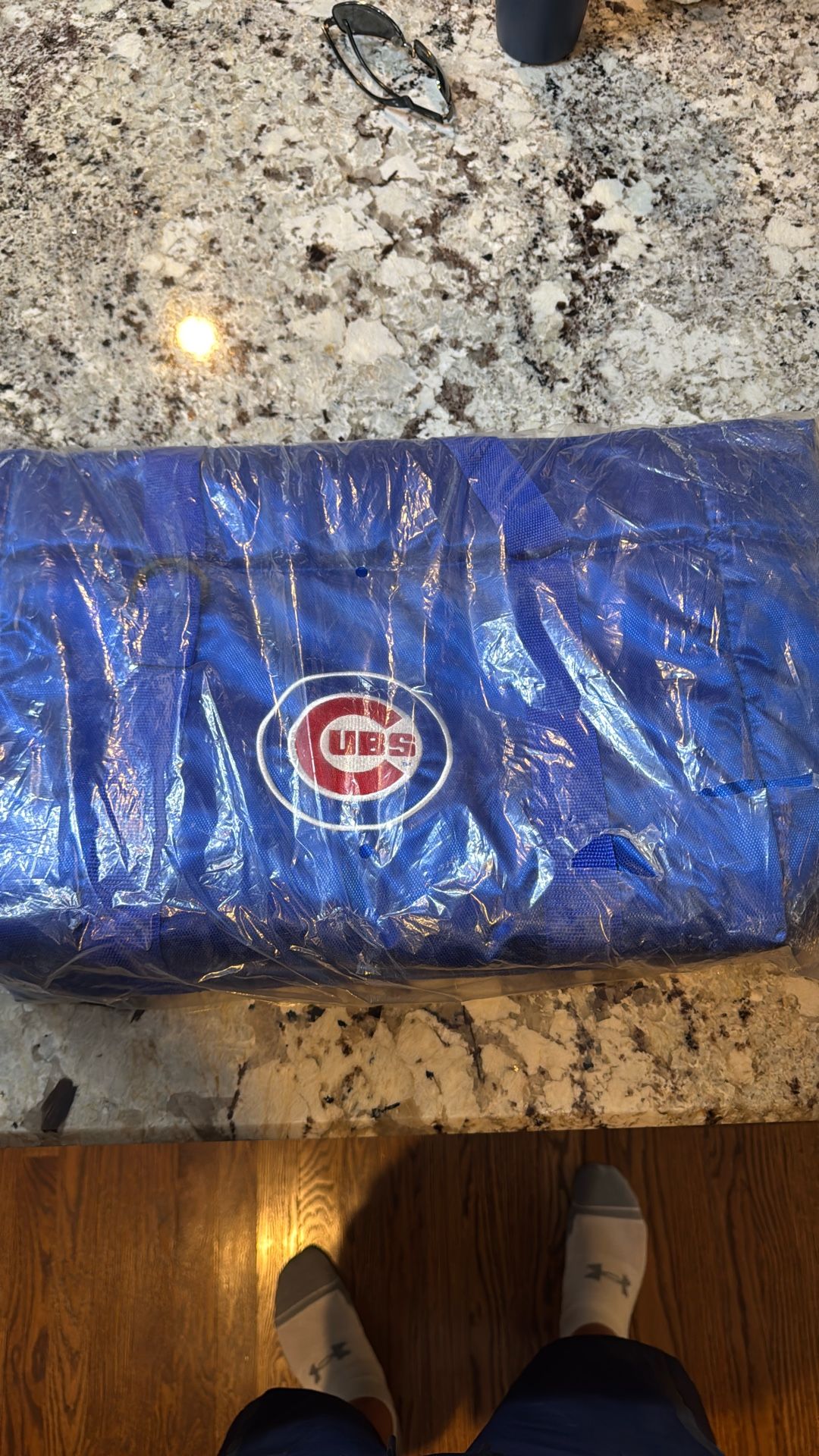 Logo Chicago Cubs Shoulder Cooler Insulated Zipper Bag