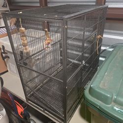 Bird Cage - Used