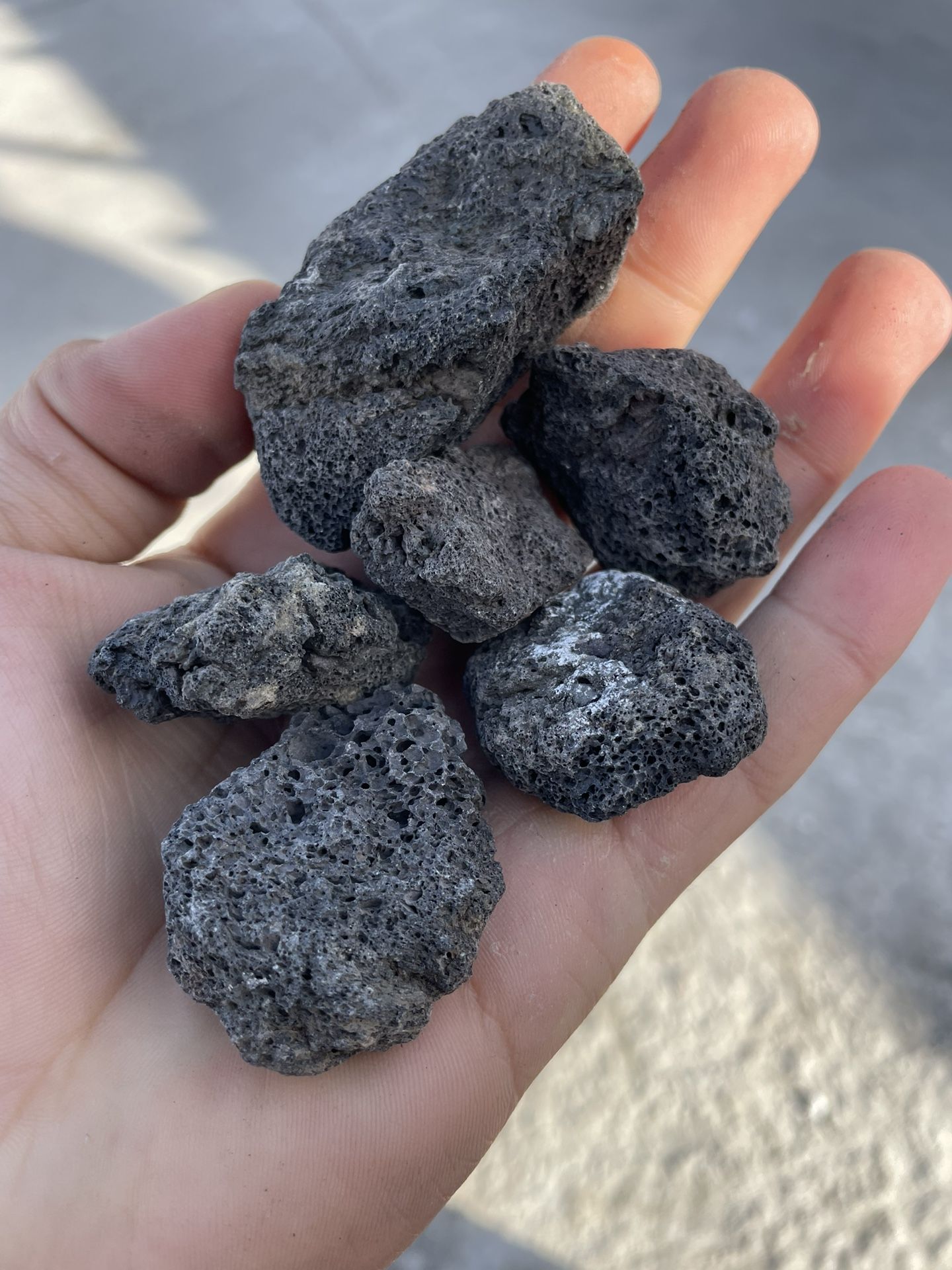Pammy Rocks Black Lava Rocks for Sale in Montclair, CA - OfferUp