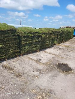 Sod For Sale Grade A Quality