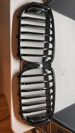 BMW X5 Grill