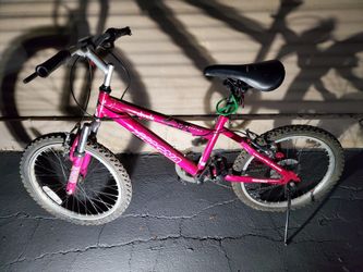 Magna Kids bike