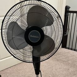 Holmes fan