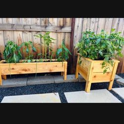 New Cedar Planters