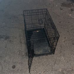 Dog Crate