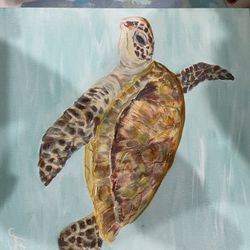 Seaturtle 