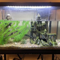 29 Gallon Aquarium and Stand 