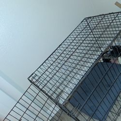 Wire Dog Kennel