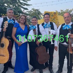 Violin mariachi mexico