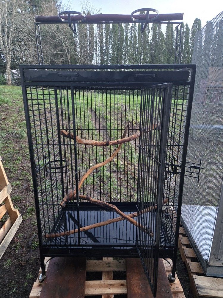 Bird, Cage. Pet House