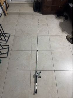 Lews mach 1 rod&reel