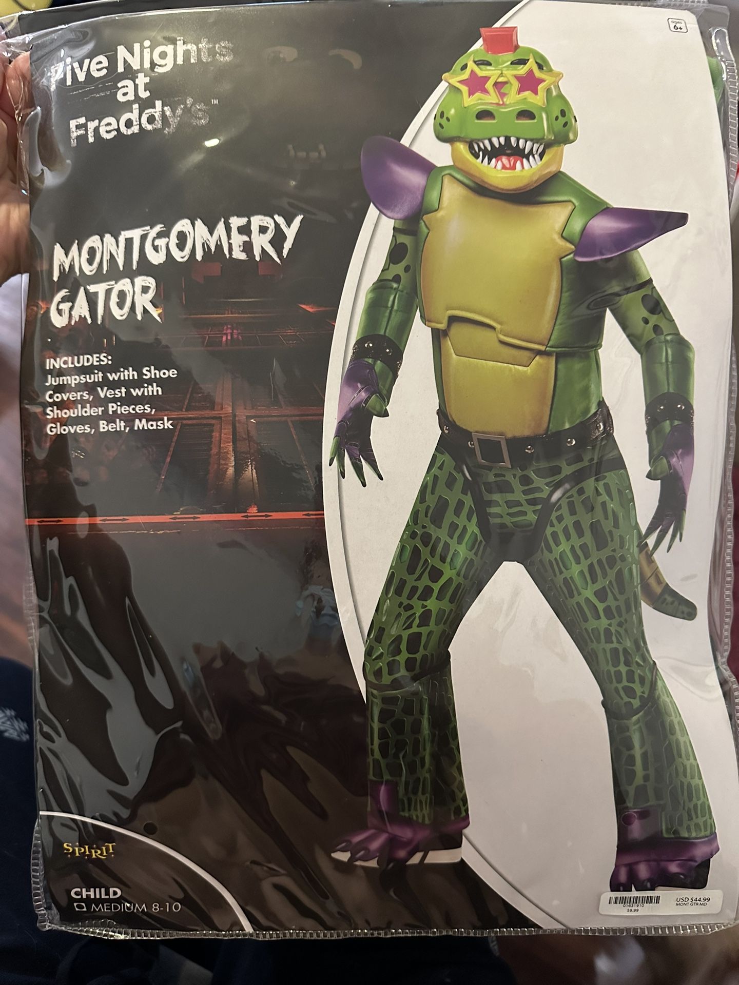 Montgomery Gator 