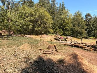 Firewood fir