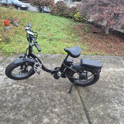 For Trade Large Narrak Ebike