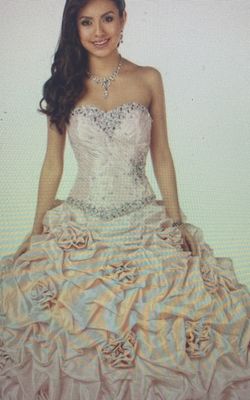 Disney Royal Ball Gown / Halloween/Prom Dress