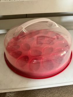 Plastic Deviled Egg Carrier with Dome Lid