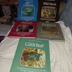 Wild wild world of animals