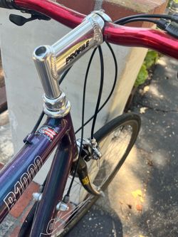 Fixie bike